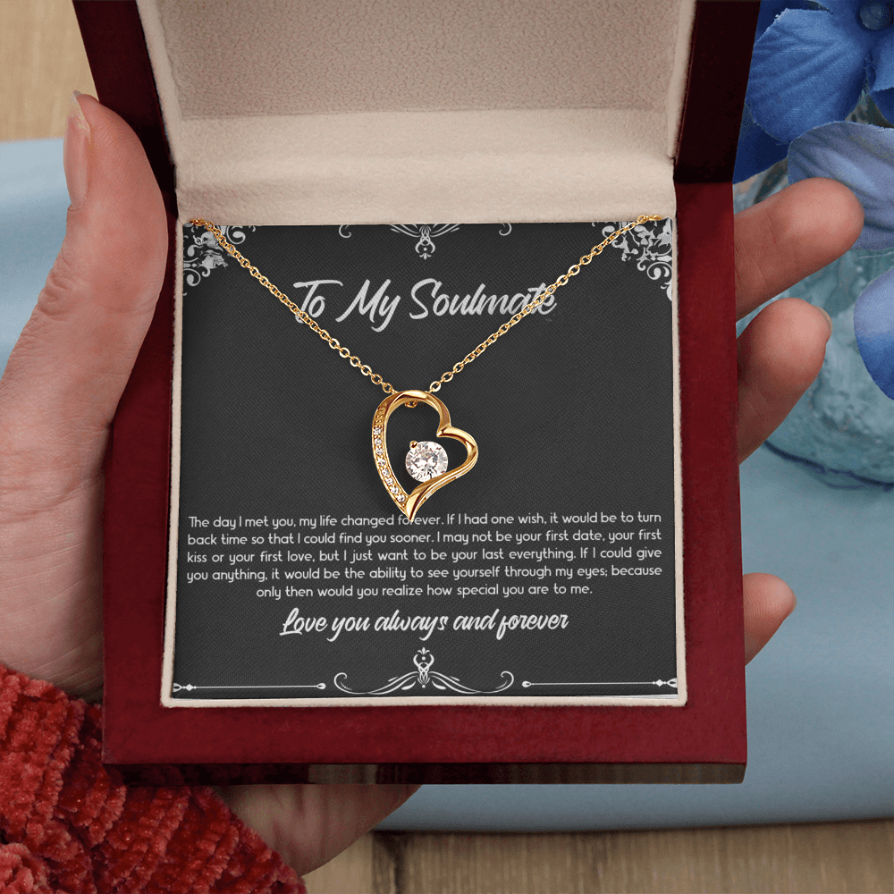 Gift for Wife "To My Soulmate - The day I met you, my life changed forever." Forever Love Necklace