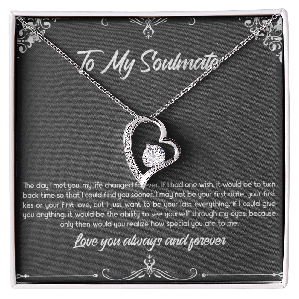 Gift for Wife "To My Soulmate - The day I met you, my life changed forever." Forever Love Necklace