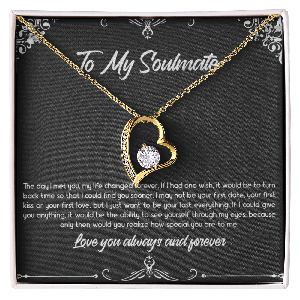 Gift for Wife "To My Soulmate - The day I met you, my life changed forever." Forever Love Necklace