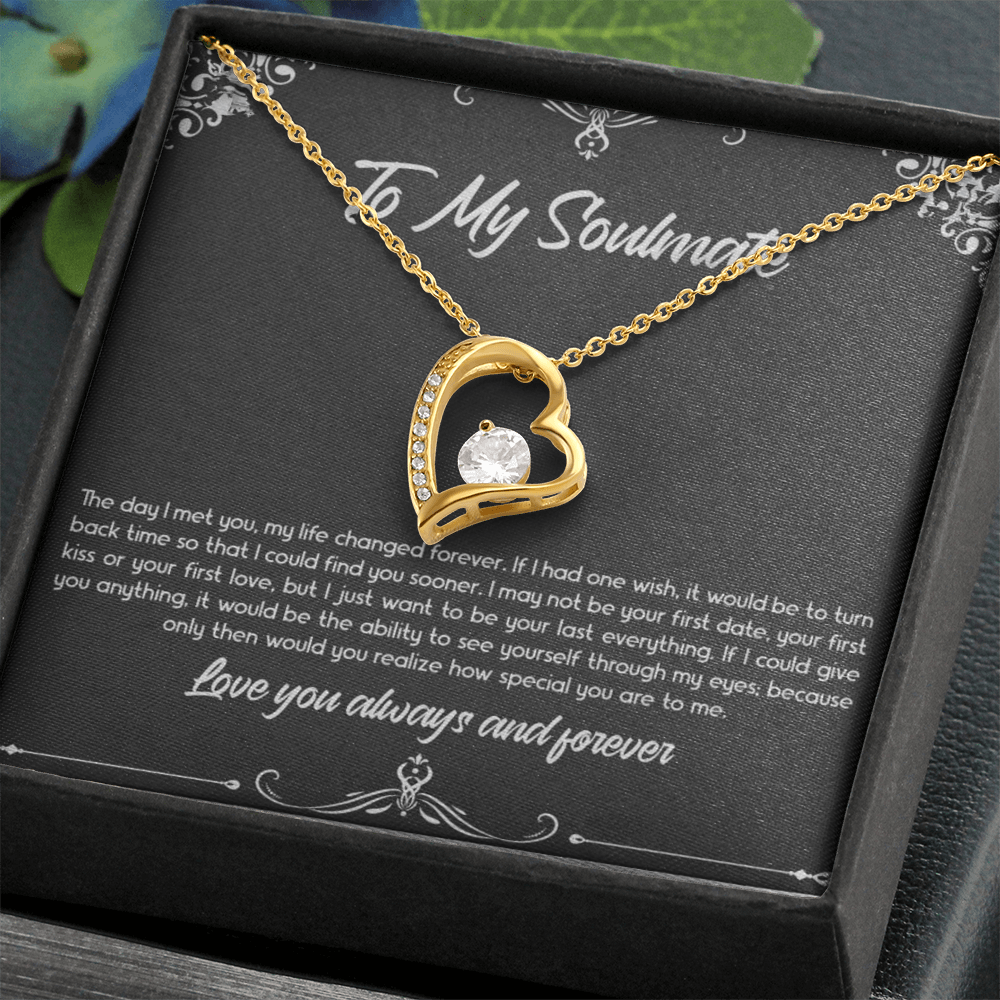 Gift for Wife "To My Soulmate - The day I met you, my life changed forever." Forever Love Necklace